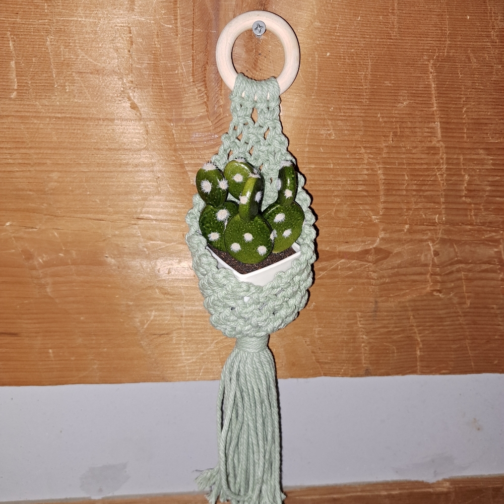 Macrame pod with faux cactus